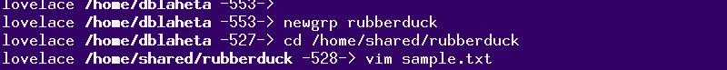 newgrp rubberduck; cd
/home/shared/rubberduck; vim sample.txt
