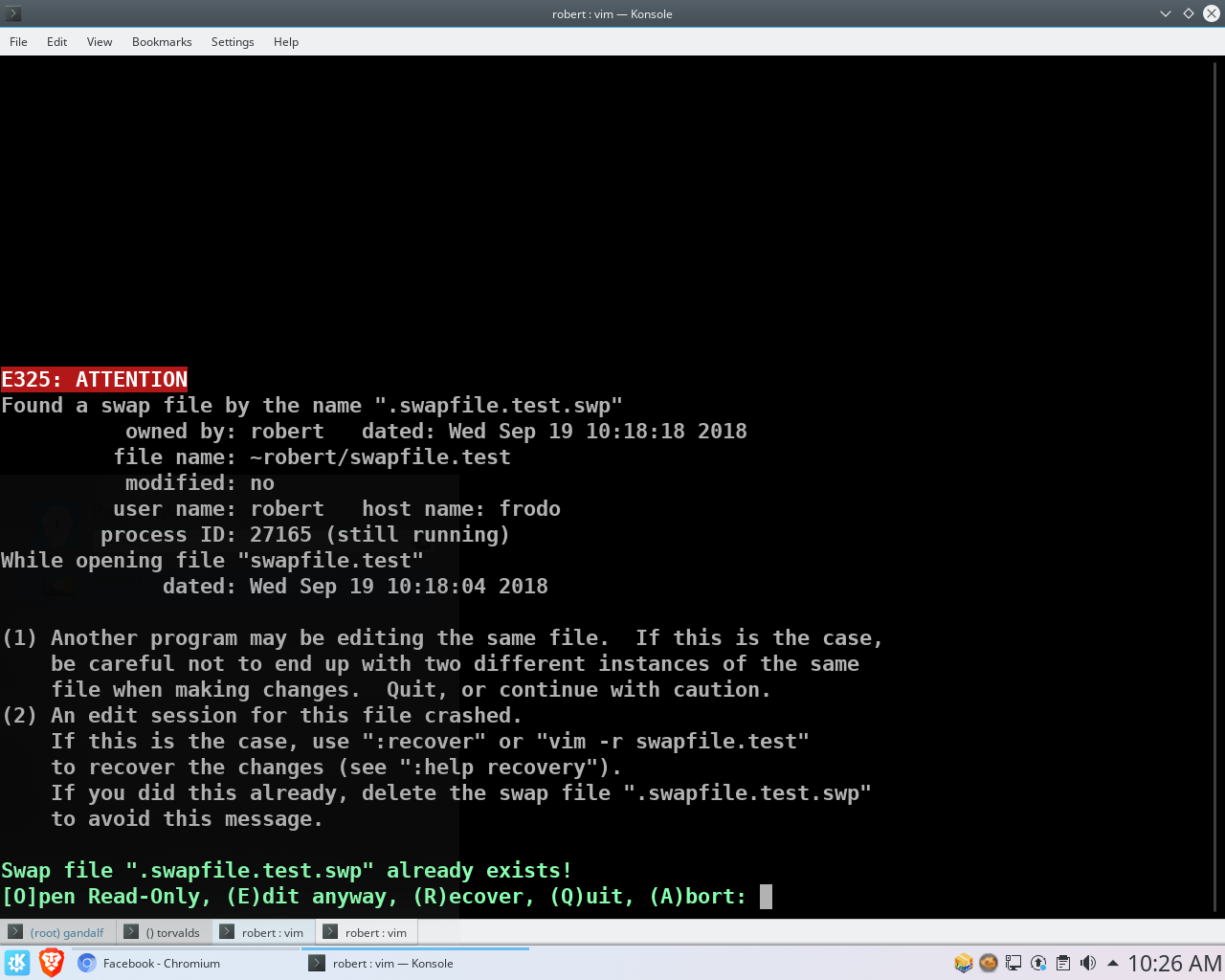 How to handle swapfiles in Vim